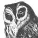 Florian Sorg's avatar